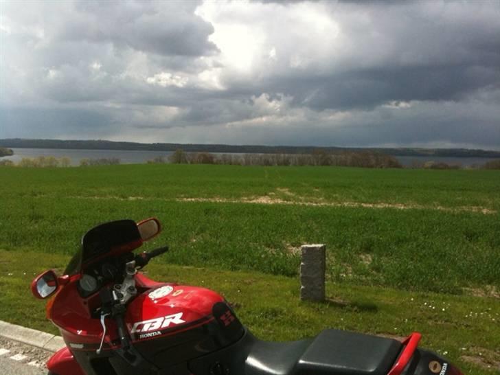 Honda CBR 1000F SC24 - Det danske vejr er Gajol-vejr! Og DMI er lig med ondskab! De amatører lyver altid! billede 7