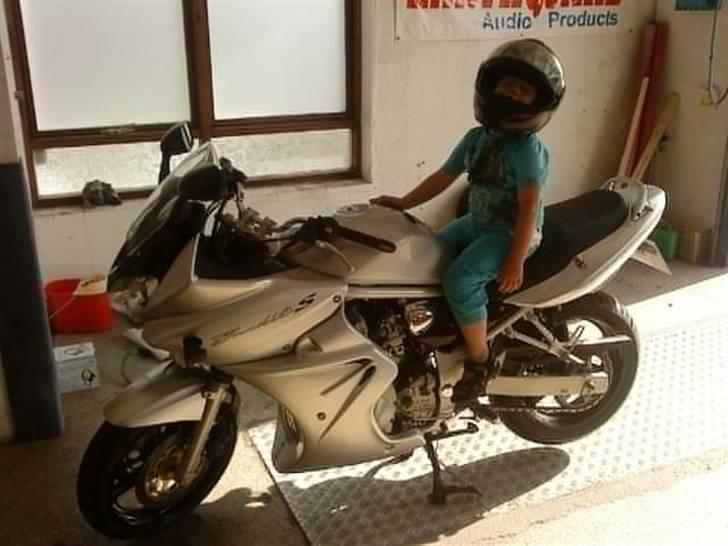 Suzuki 600 GSF Bandit billede 1