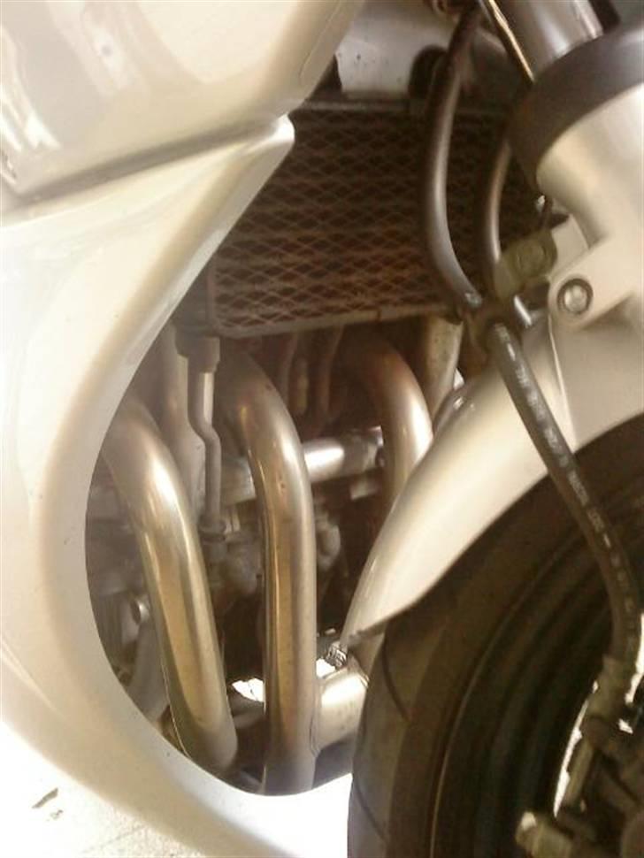 Suzuki 600 GSF Bandit billede 6