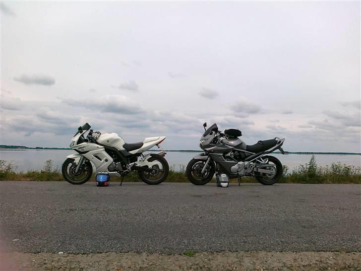 Suzuki GSF 650 SA - Anders og jeg på tur, 2010. Gjøl dæmningen billede 8