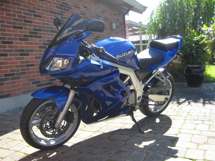 Suzuki SV 650 S "Valentina" Solgt billede 6