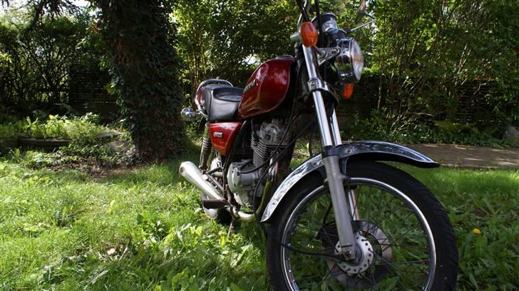 Suzuki GN 125 billede 4