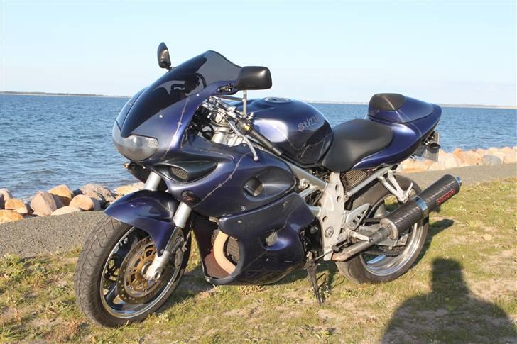 Suzuki TL 1000 billede 6