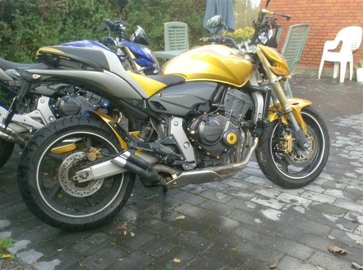 Honda CB600 Hornet pc41 billede 1