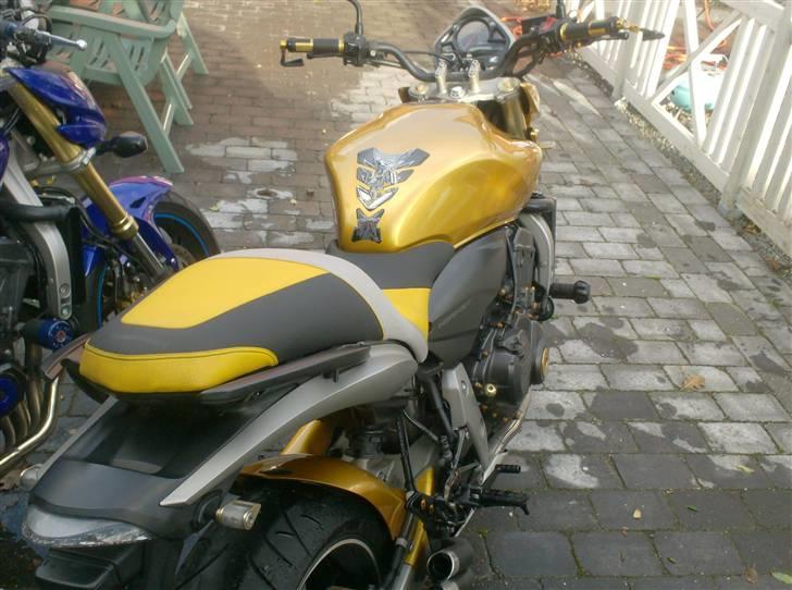 Honda CB600 Hornet pc41 billede 2