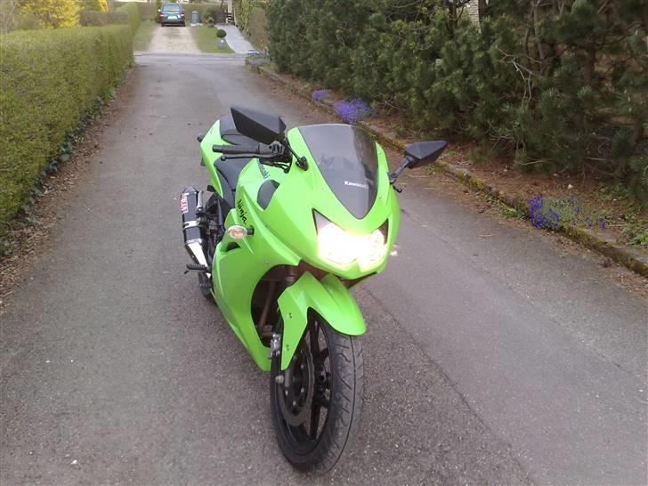 Kawasaki Ninja 250R billede 6