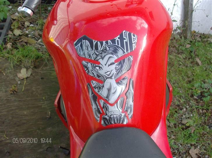 Suzuki GSF Bandit (Tidl.) billede 3