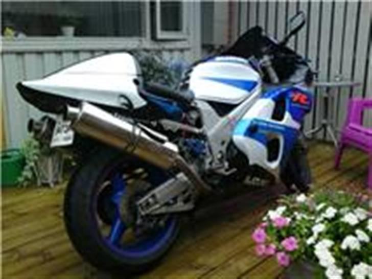 Suzuki TL1000R billede 2