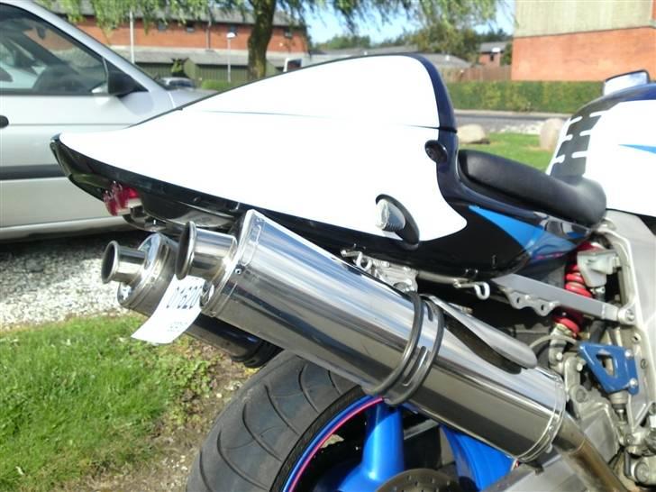 Suzuki TL1000R billede 6