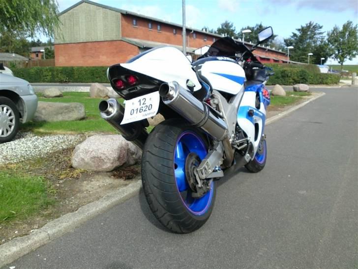 Suzuki TL1000R billede 8
