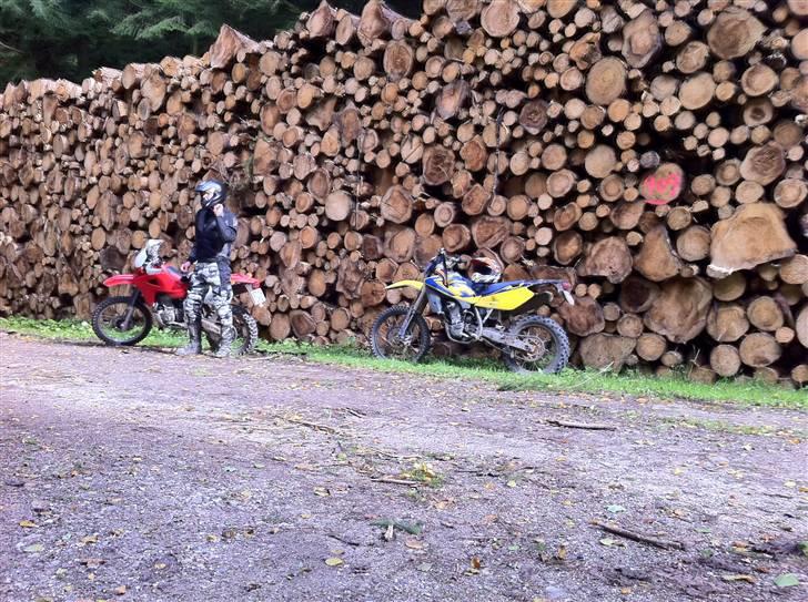 Husqvarna TE 450 - Husky på pletten i en større støttegruppe for træer der skal støttes! billede 9