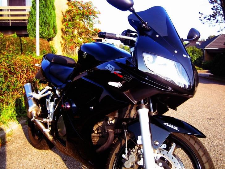 Suzuki SV650 SA billede 2