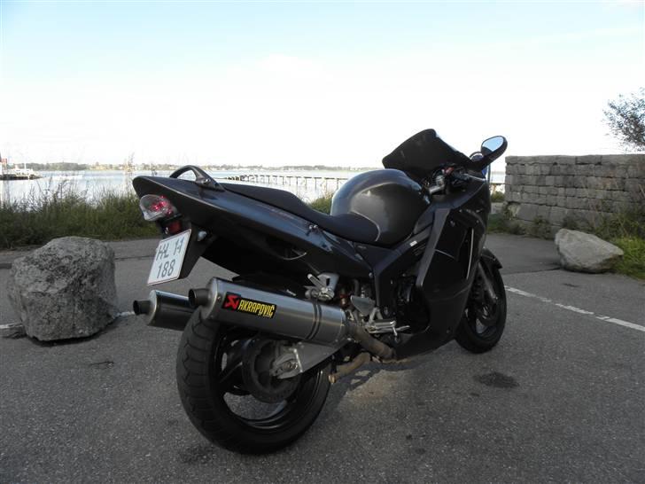 Honda Cbr1100xx Blackbird (solgt) - Klar baglygte billede 11