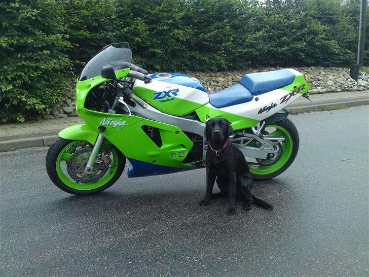 Kawasaki zxr 750 - personlig bodygard billede 13