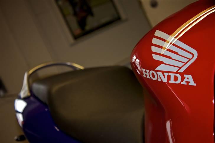 Honda CBR 600 F4 billede 4