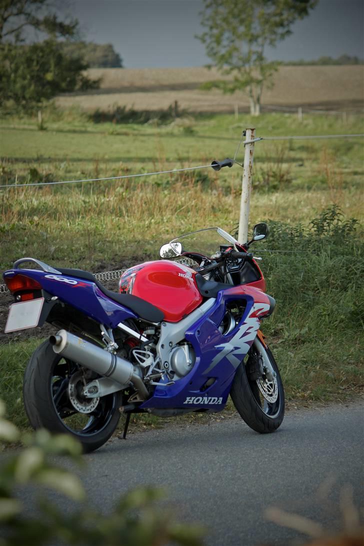 Honda CBR 600 F4 billede 5