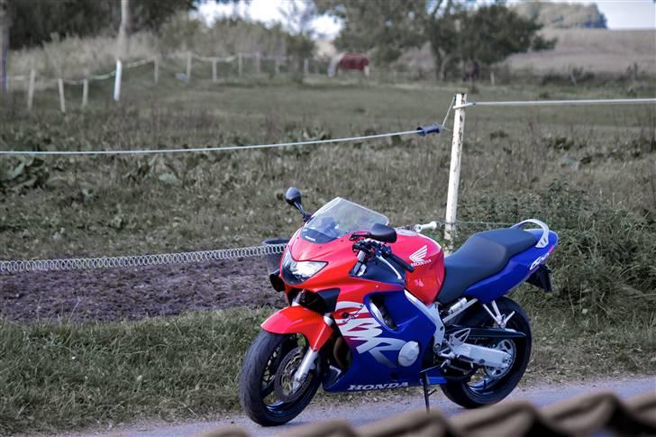 Honda CBR 600 F4 billede 7