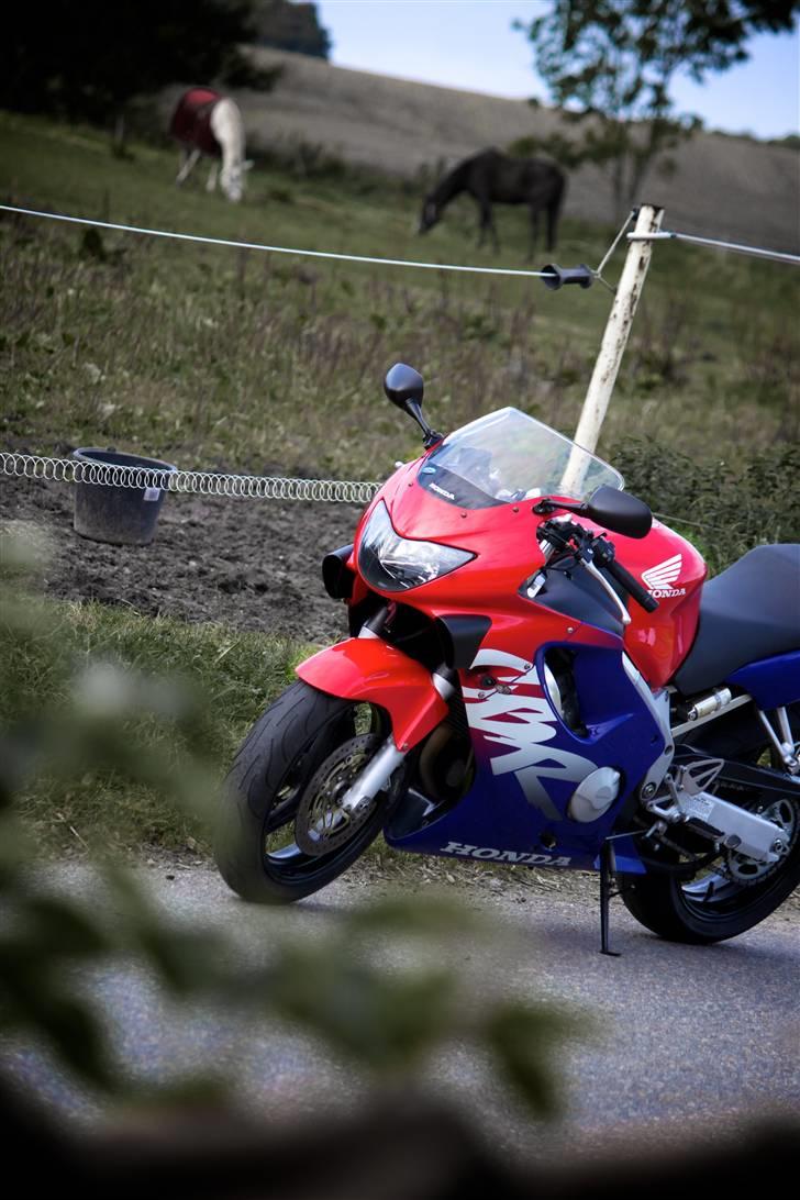 Honda CBR 600 F4 billede 20