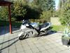 Honda cbr 1100xx blackbird