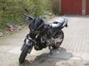 Honda CB 600 Hornet  [Tidl. motorcykel]