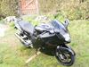 Honda 1100 Blackbird "SOLGT"