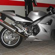 Triumph Daytona 600