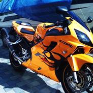Honda cbr 600 fs 'SOLGT'