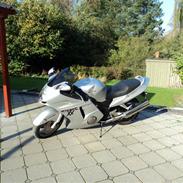 Honda cbr 1100xx blackbird