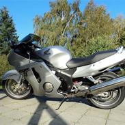 Honda cbr 1100xx blackbird