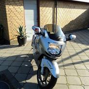 Honda cbr 1100xx blackbird