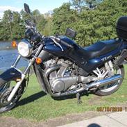 Suzuki VX 800