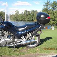 Suzuki VX 800