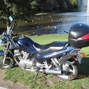 Suzuki VX 800