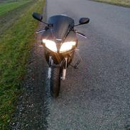 Suzuki SV 1000 S