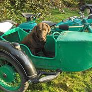 Ural M67