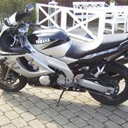 Yamaha YZF600R THUNDERCAT