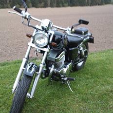 Regal Raptor Regal Raptor 250E