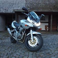 Suzuki GSF  600 S Bandtit
