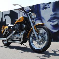 Harley Davidson 883 Sportster