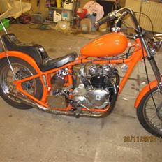 Triumph tiger100 esy rider