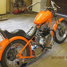 Triumph tiger100 esy rider