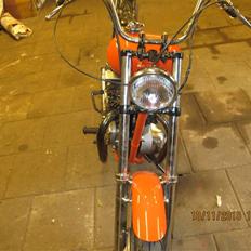 Triumph tiger100 esy rider