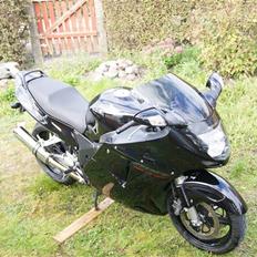 Honda 1100 Blackbird "SOLGT"