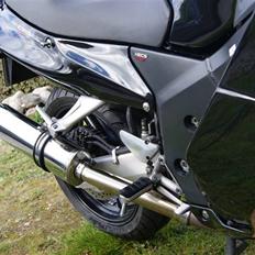 Honda 1100 Blackbird "SOLGT"