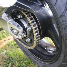 Honda 1100 Blackbird "SOLGT"