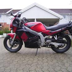 Suzuki GS500e