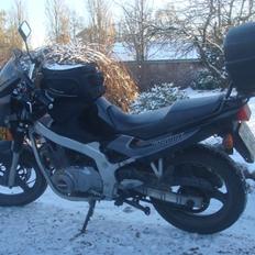 Suzuki GS 500