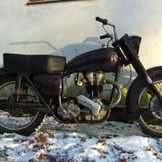 Ariel NH