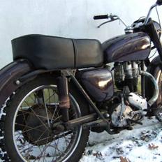 Ariel NH
