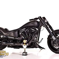 Harley Davidson Satori Bike